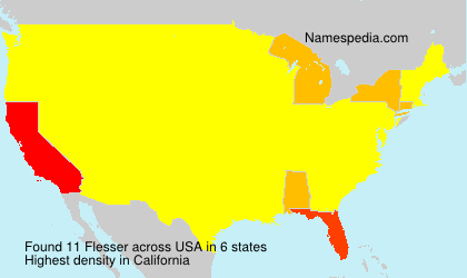 Surname Flesser in USA