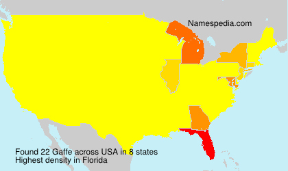 Surname Gaffe in USA