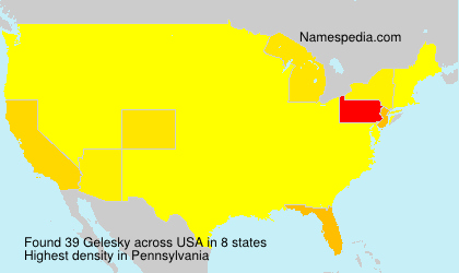 Surname Gelesky in USA