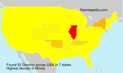 Surname Geminn in USA