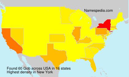 Surname Gob in USA