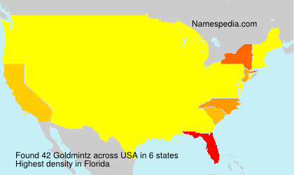 Surname Goldmintz in USA