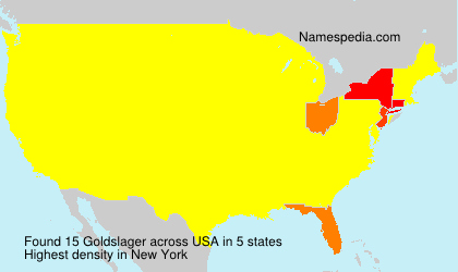 Surname Goldslager in USA