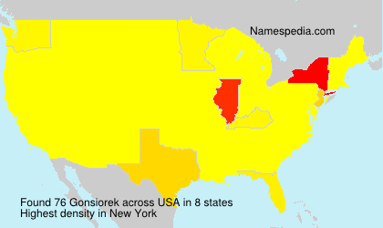 Surname Gonsiorek in USA
