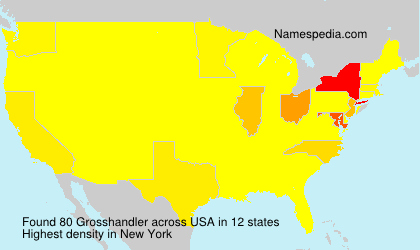 Surname Grosshandler in USA