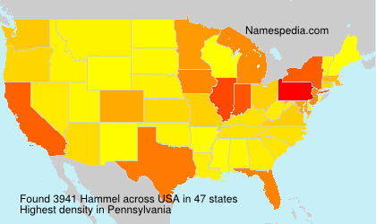 Surname Hammel in USA