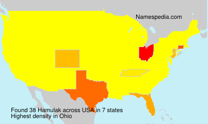 Surname Hamulak in USA