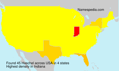 Surname Haschel in USA Surname Haschel in USA