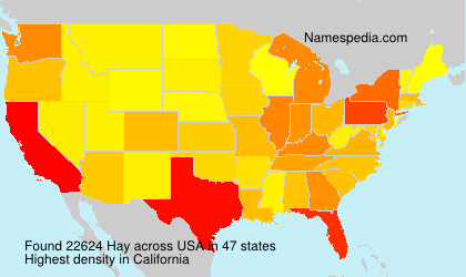 Surname Hay in USA