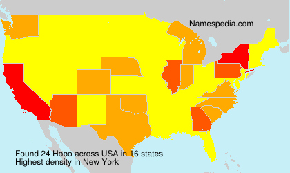 Surname Hobo in USA
