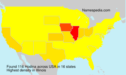 Surname Hodina in USA