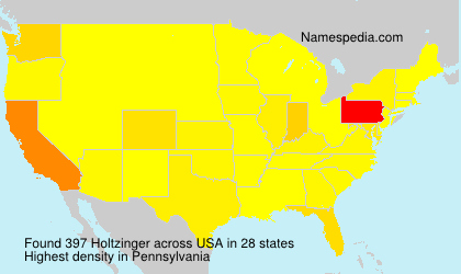 Surname Holtzinger in USA