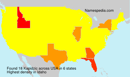 Surname Kapidzic in USA