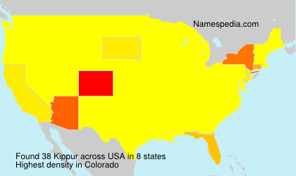 Surname Kippur in USA