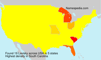 Surname Lavisky in USA