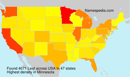 Surname Leaf in USA