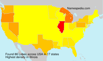 Surname Lobes in USA