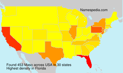 Surname Maso in USA