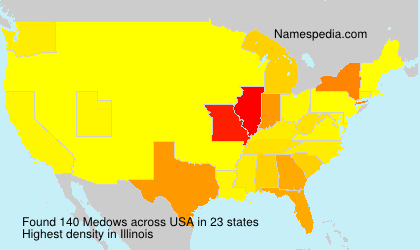 Surname Medows in USA