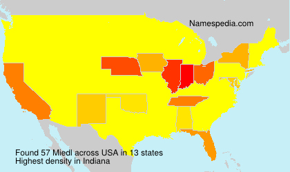 Surname Miedl in USA