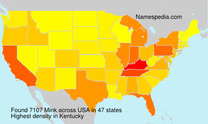 Surname Mink in USA