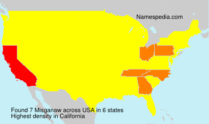 Surname Misganaw in USA