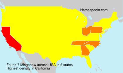 Surname Misganaw in USA Surname Misganaw in USA