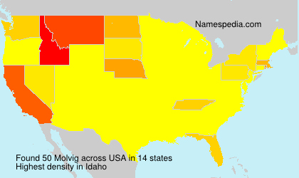 Surname Molvig in USA
