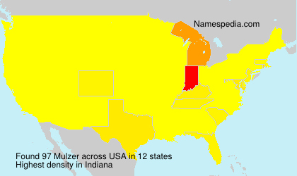 Surname Mulzer in USA