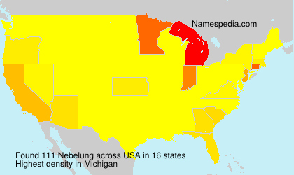Surname Nebelung in USA