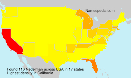 Surname Nedelman in USA