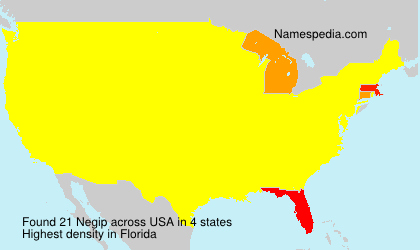 Surname Negip in USA