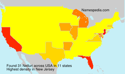 Surname Nelluri in USA