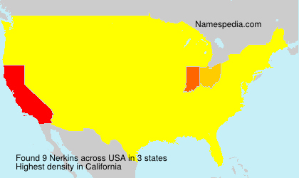 Surname Nerkins in USA Surname Nerkins in USA