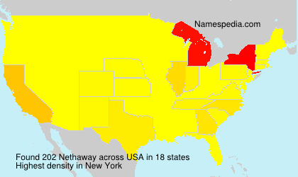 Surname Nethaway in USA