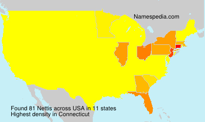 Surname Nettis in USA