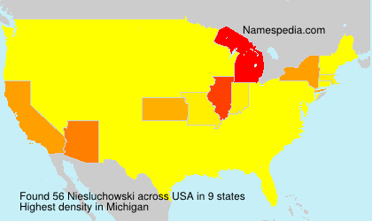 Surname Niesluchowski in USA