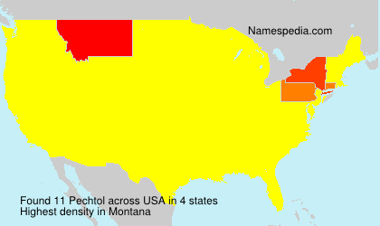 Surname Pechtol in USA