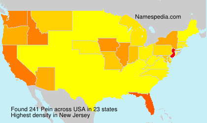 Surname Pein in USA