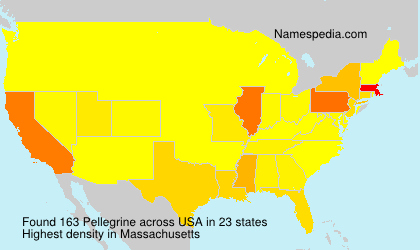 Surname Pellegrine in USA