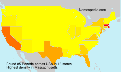 Surname Peneda in USA