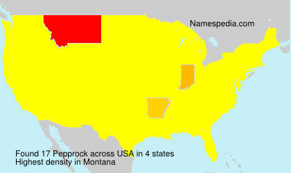Surname Pepprock in USA