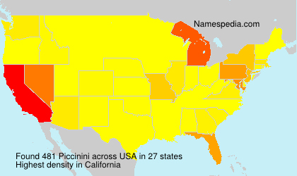 Surname Piccinini in USA