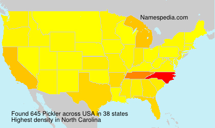 Surname Pickler in USA