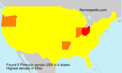 Surname Pietzuch in USA