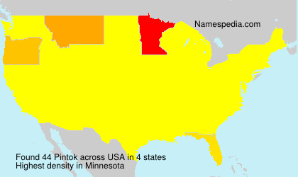 Surname Pintok in USA Surname Pintok in USA