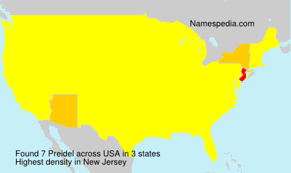 Surname Preidel in USA