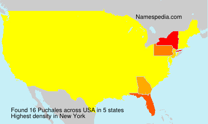 Surname Puchales in USA