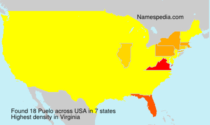 Surname Puelo in USA