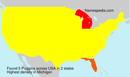 Surname Puggina in USA